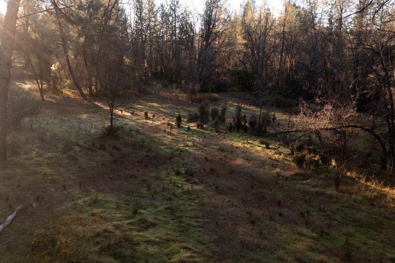 574 Higdon Spink Cutoff - Photo 1