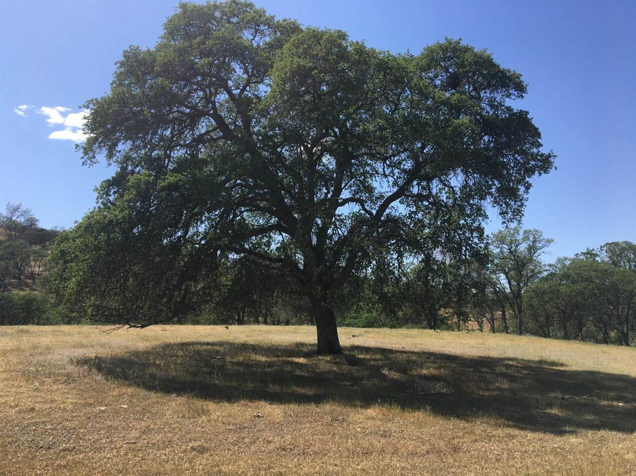 https://bt-photos.global.ssl.fastly.net/sacramento/1280_boomver_1_561032051-2.jpg