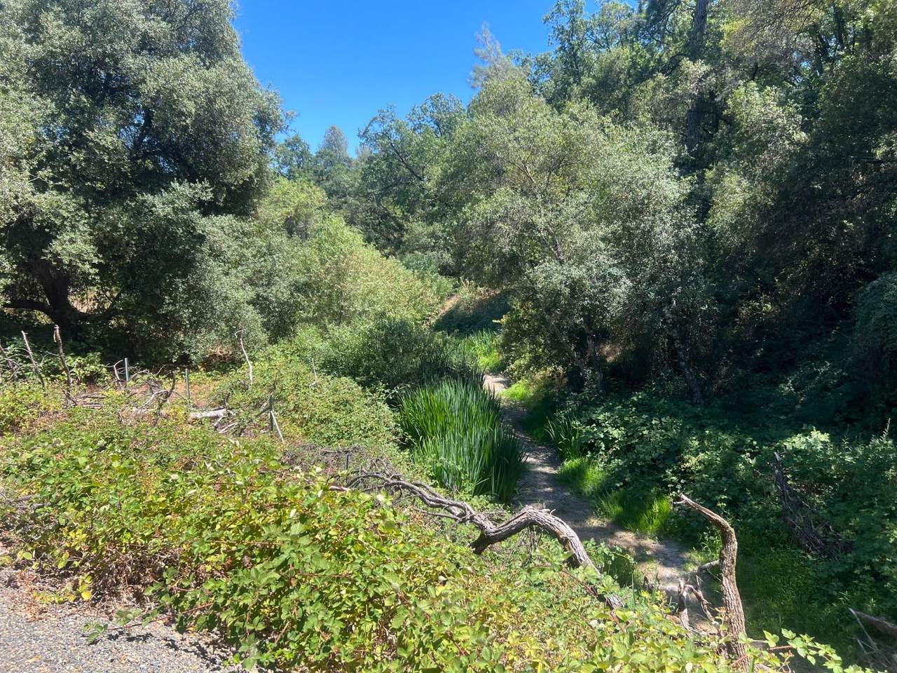 https://bt-photos.global.ssl.fastly.net/sacramento/1280_boomver_1_561032083-2.jpg