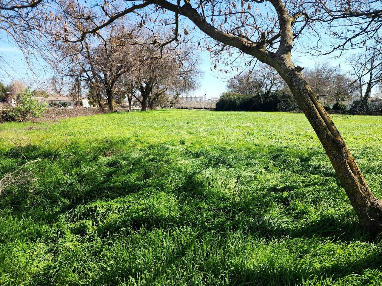 https://bt-photos.global.ssl.fastly.net/sacramento/1280_boomver_1_561032180-2.jpg