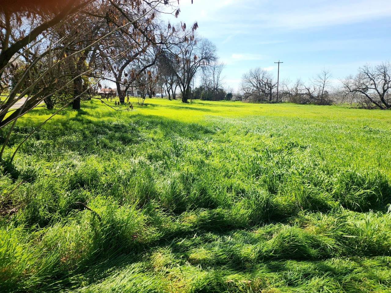 https://bt-photos.global.ssl.fastly.net/sacramento/1280_boomver_1_561032180-2.jpg