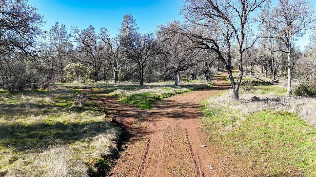 https://bt-photos.global.ssl.fastly.net/sacramento/1280_boomver_1_561032189-2.jpg