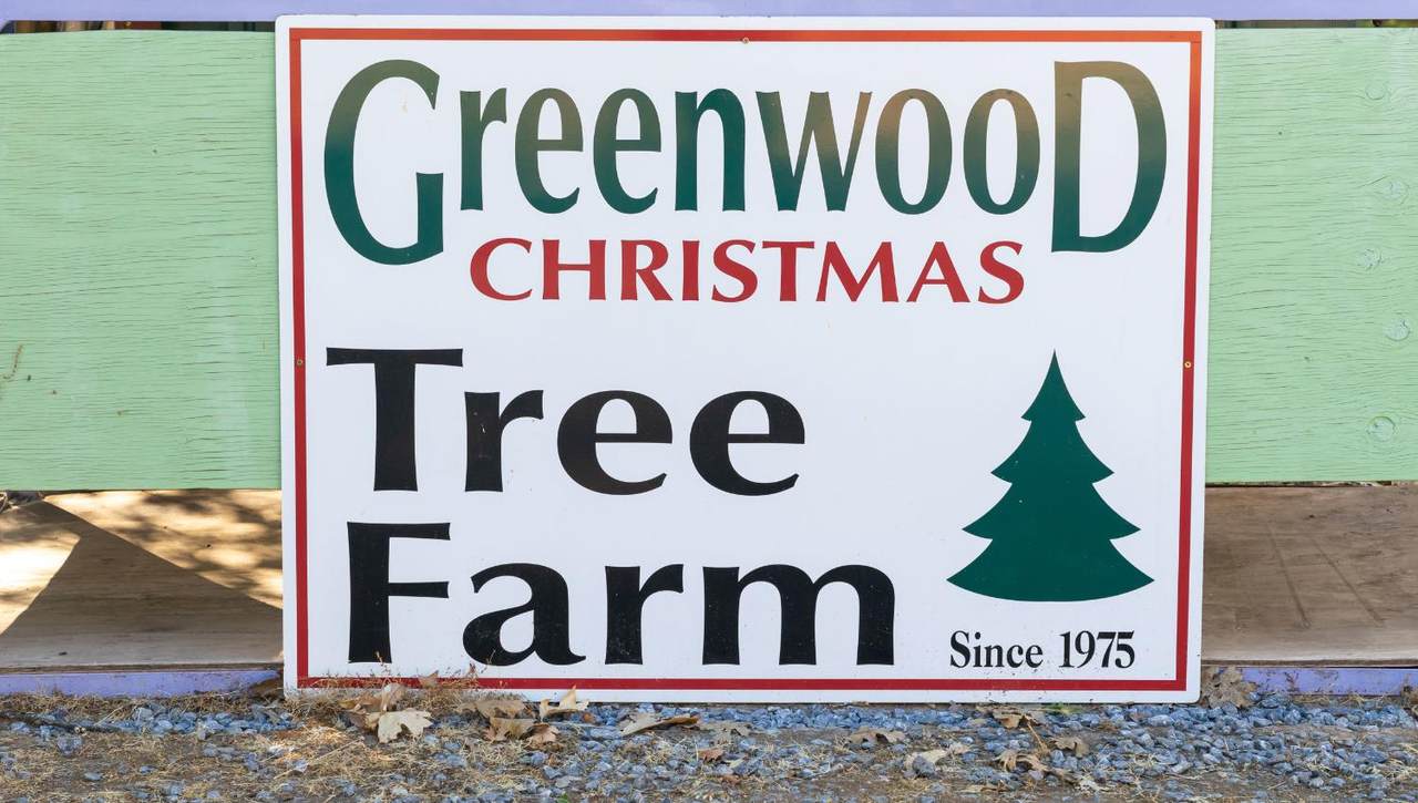 2465 Syd Road - Photo 1