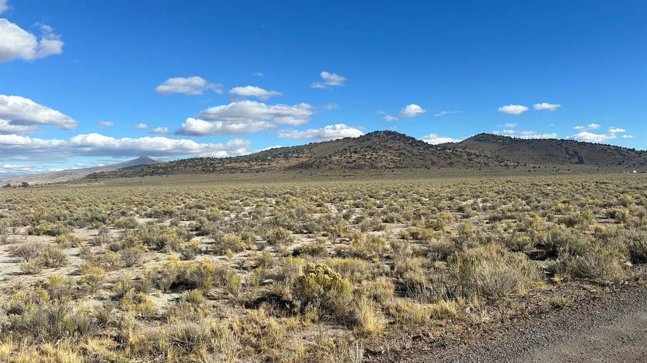 530 Mail Route Road - Photo 1