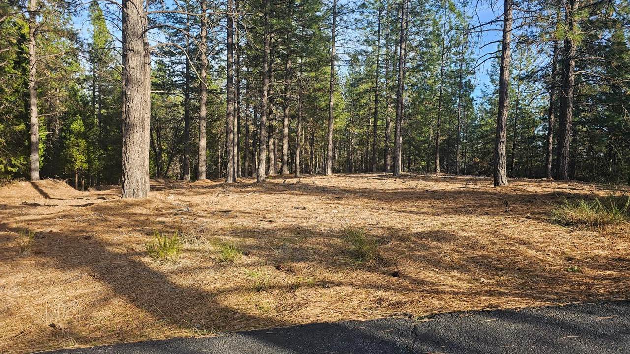 2801 Harkness Street - Photo 1