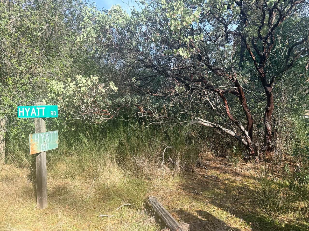 10986 Tyler Foote Crossing Road - Photo 1