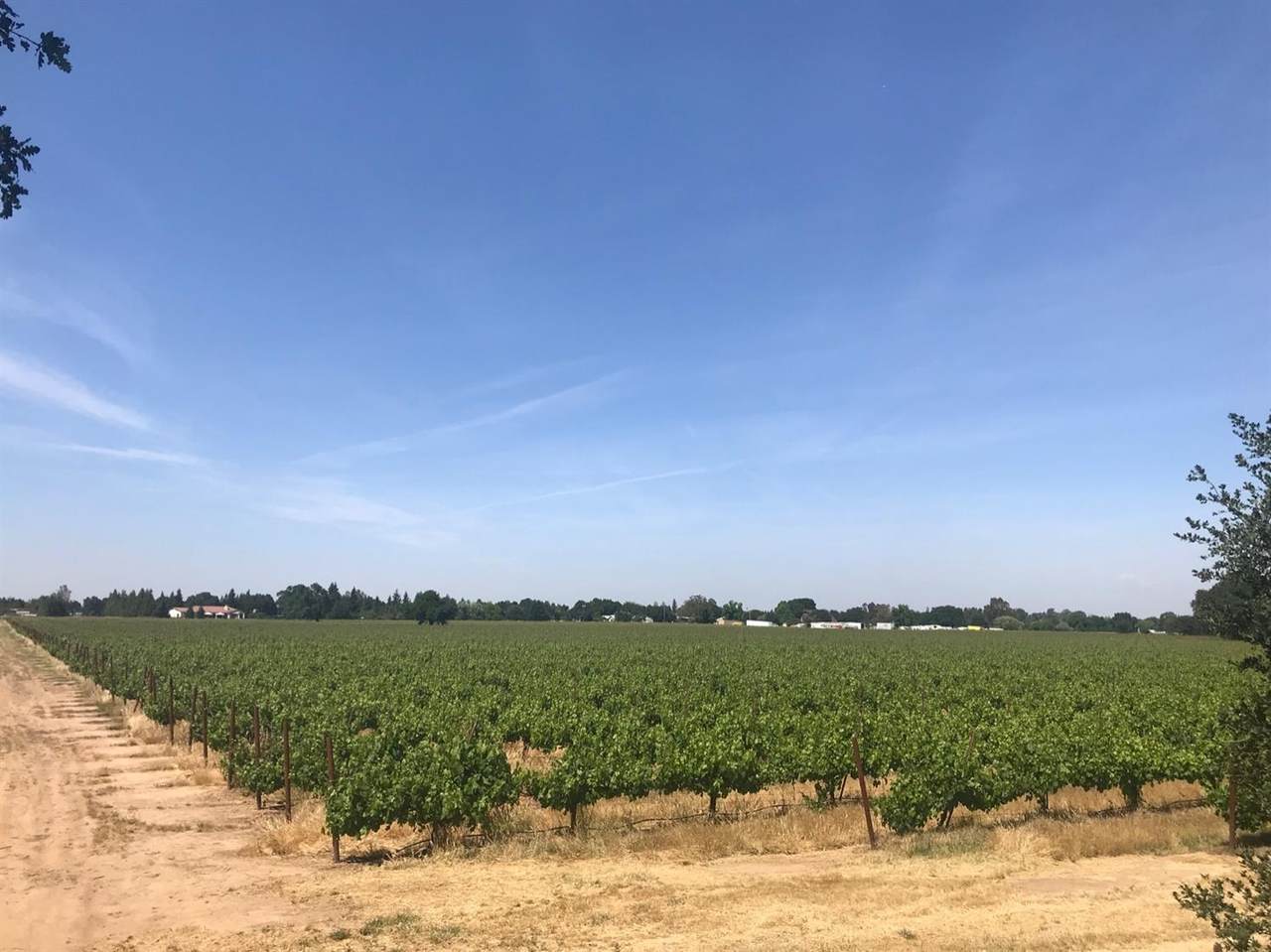 0 Kost Road - Photo 1