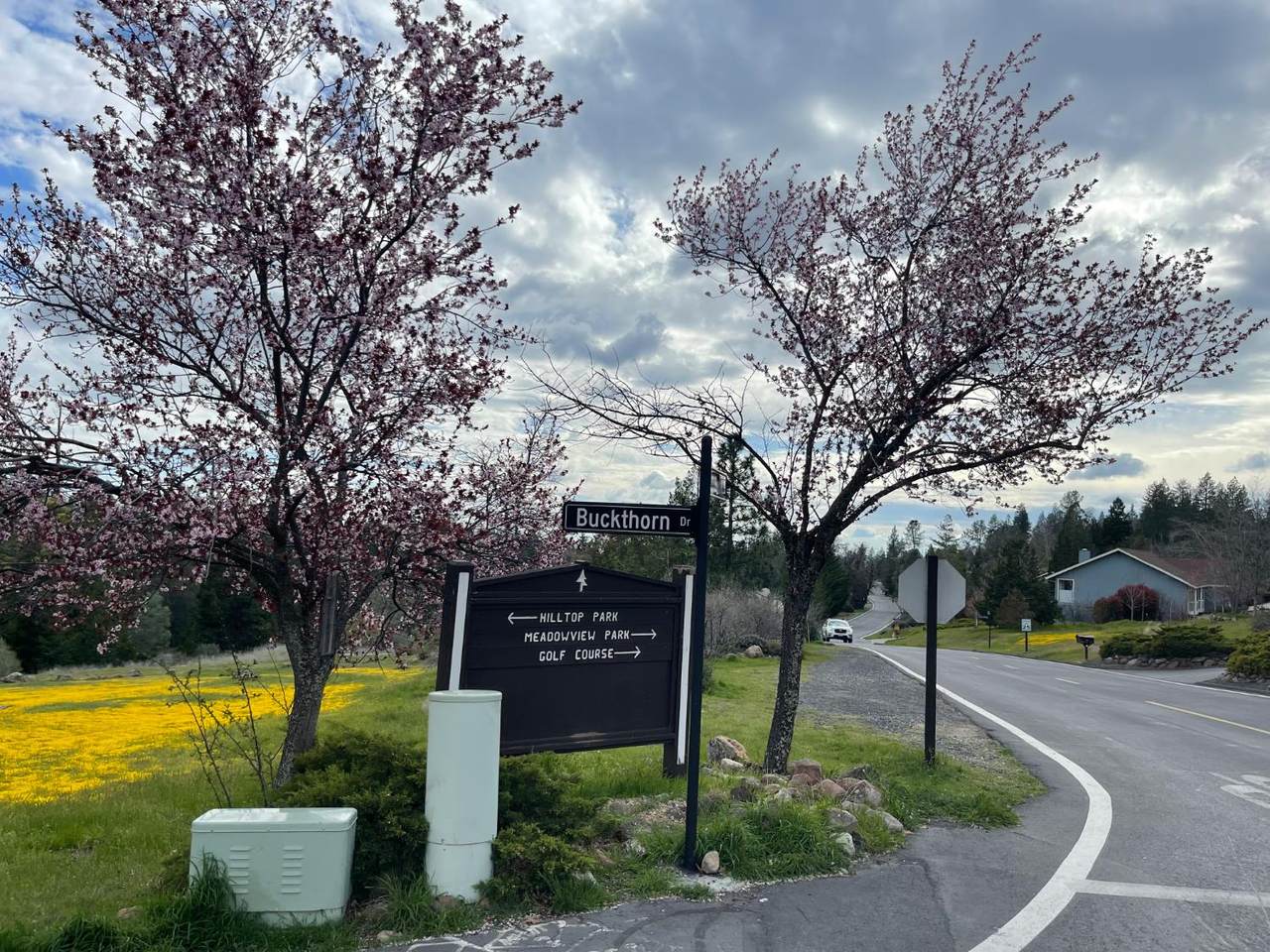 386 Buckthorn Drive - Photo 1