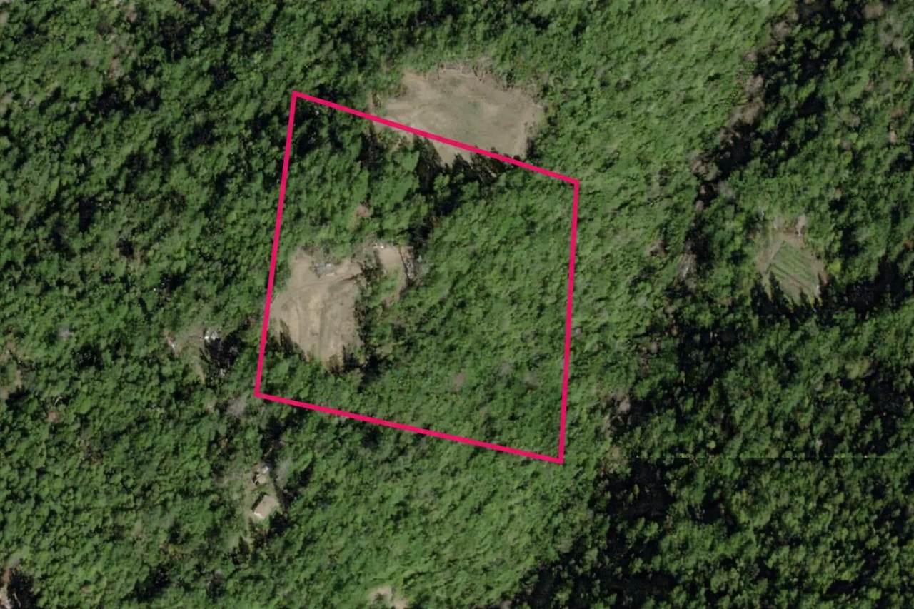 6255 Rancho Sequoia Drive - Photo 1