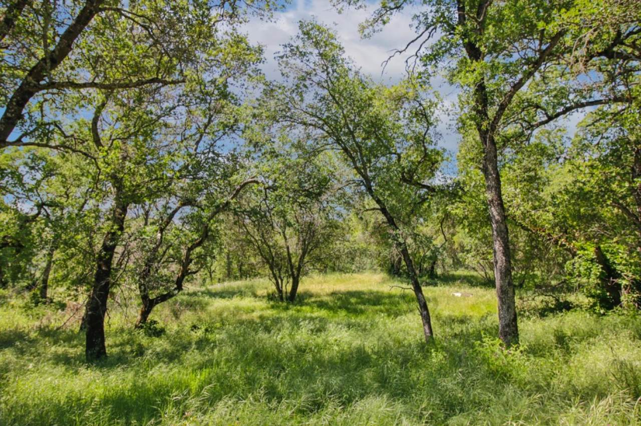 731 Janet Court - Photo 1