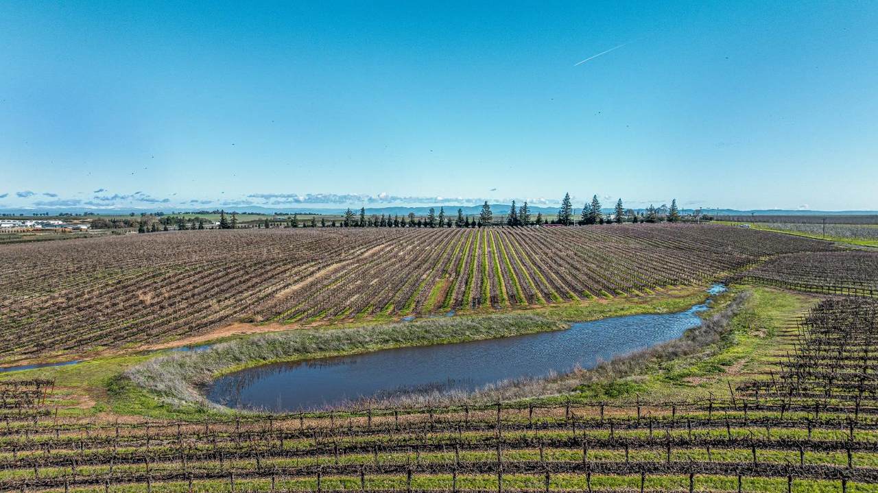 20075 Kettleman Lane - Photo 1