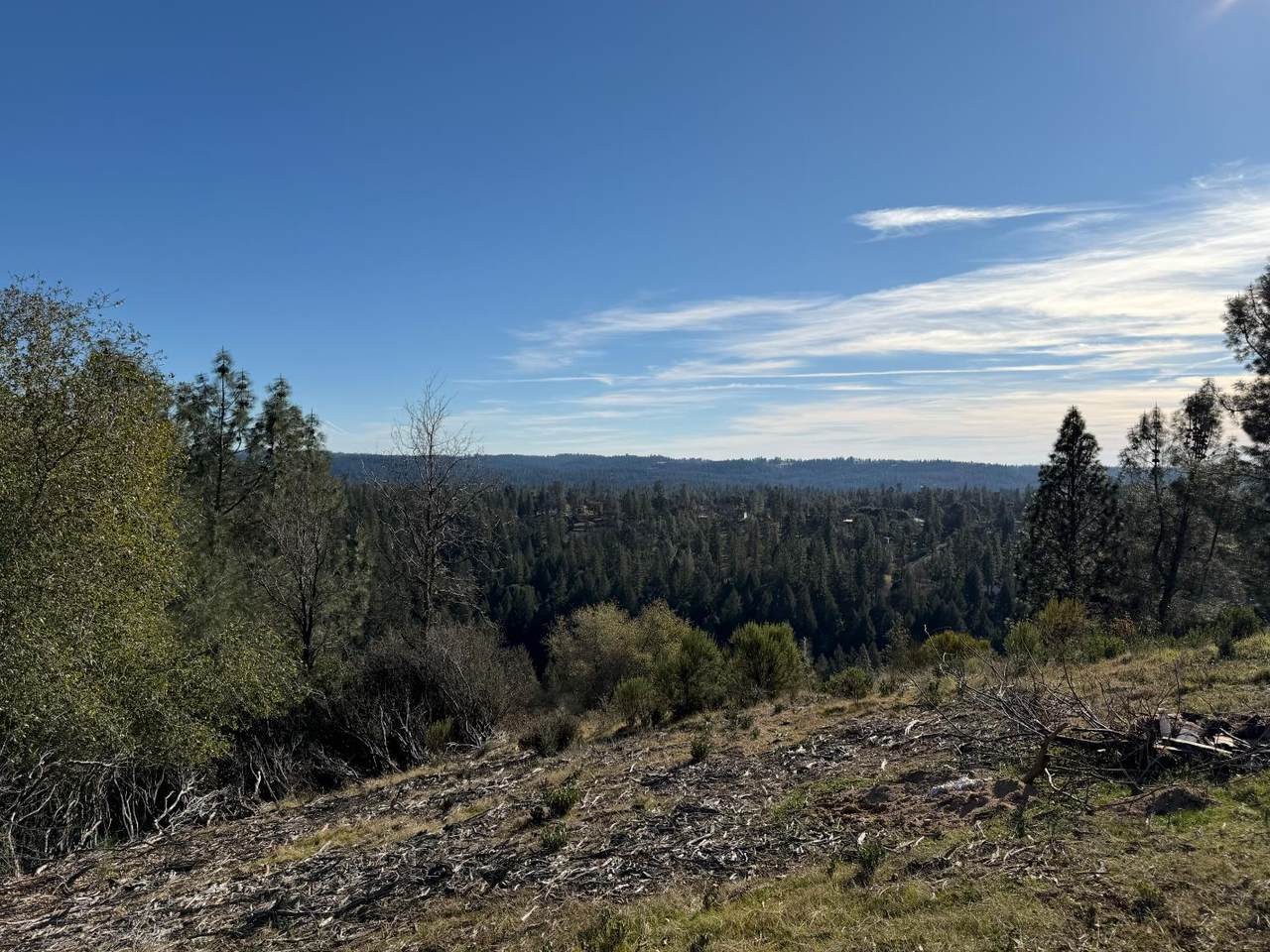 3200 One Eye Creek Road - Photo 1