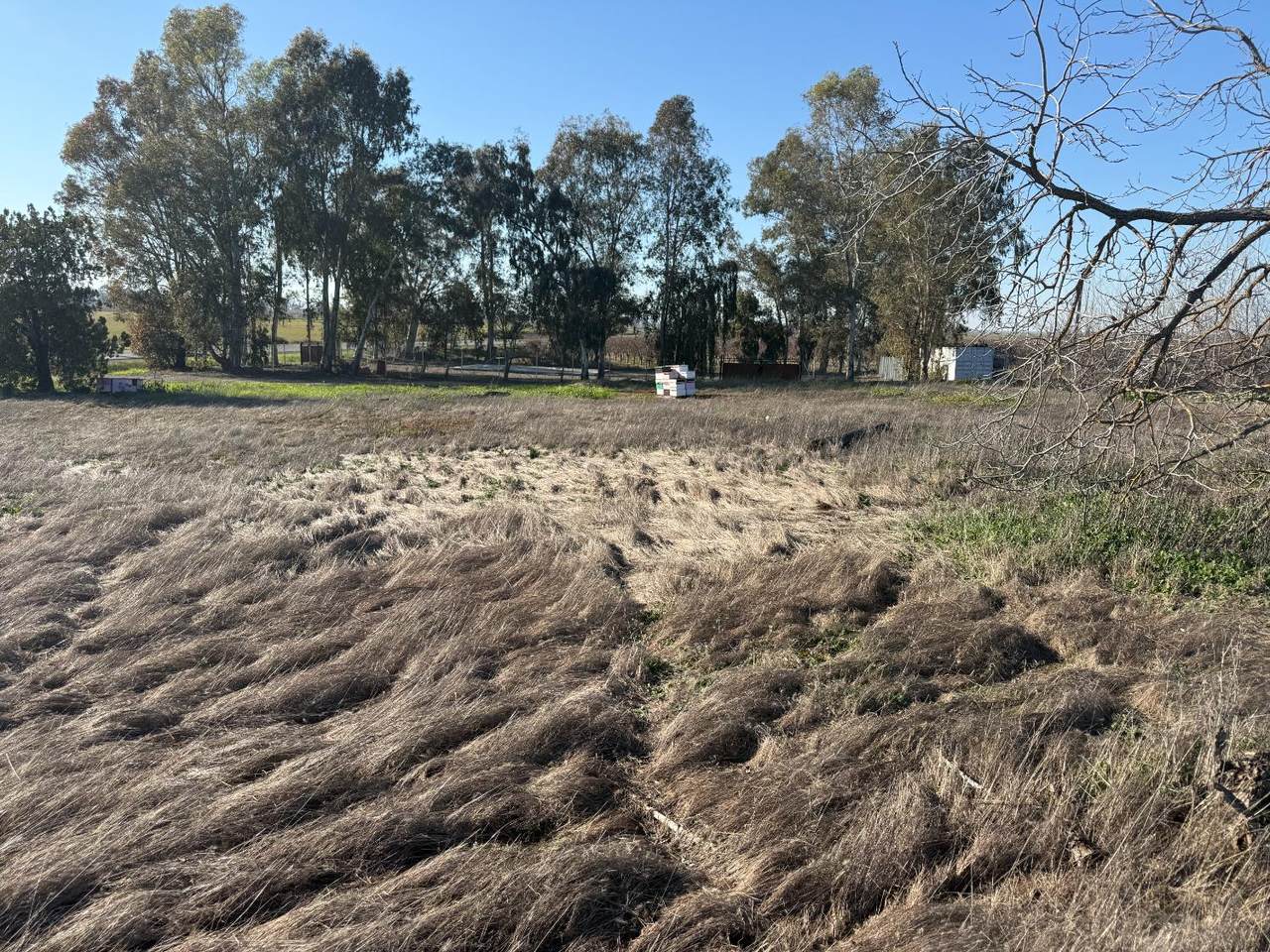 4857 Beale Road - Photo 1