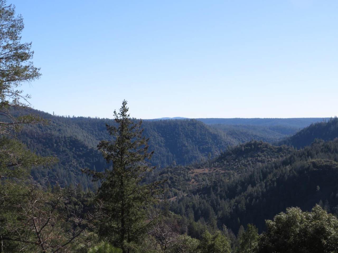 0 N. Canyon Way / Iowa Hill Rd - Photo 1