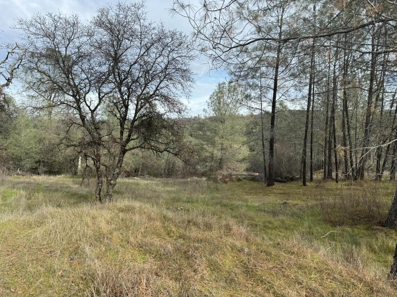 10600 Wild Turkey Lane - Photo 1