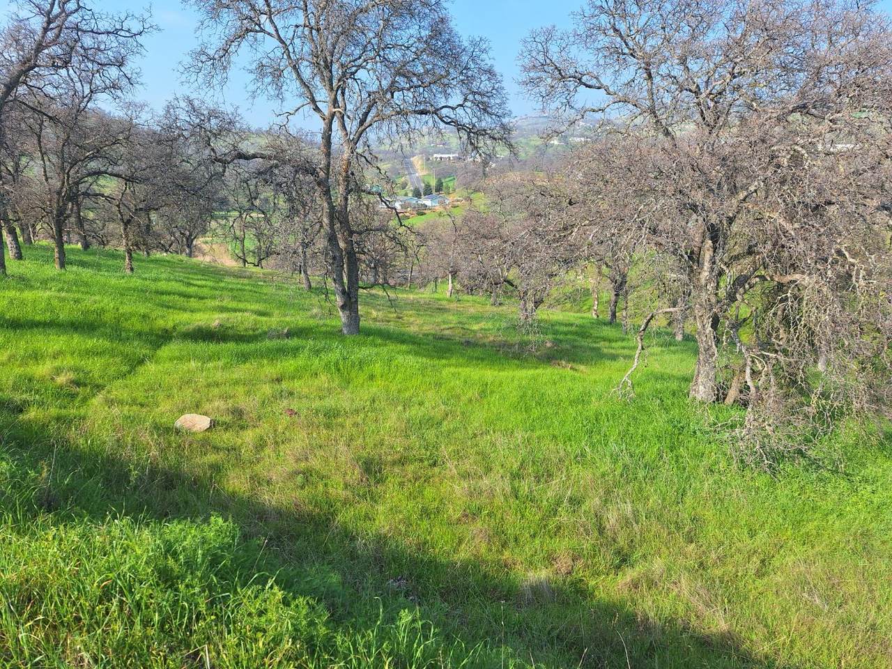 9000 Capullo Circle - Photo 1