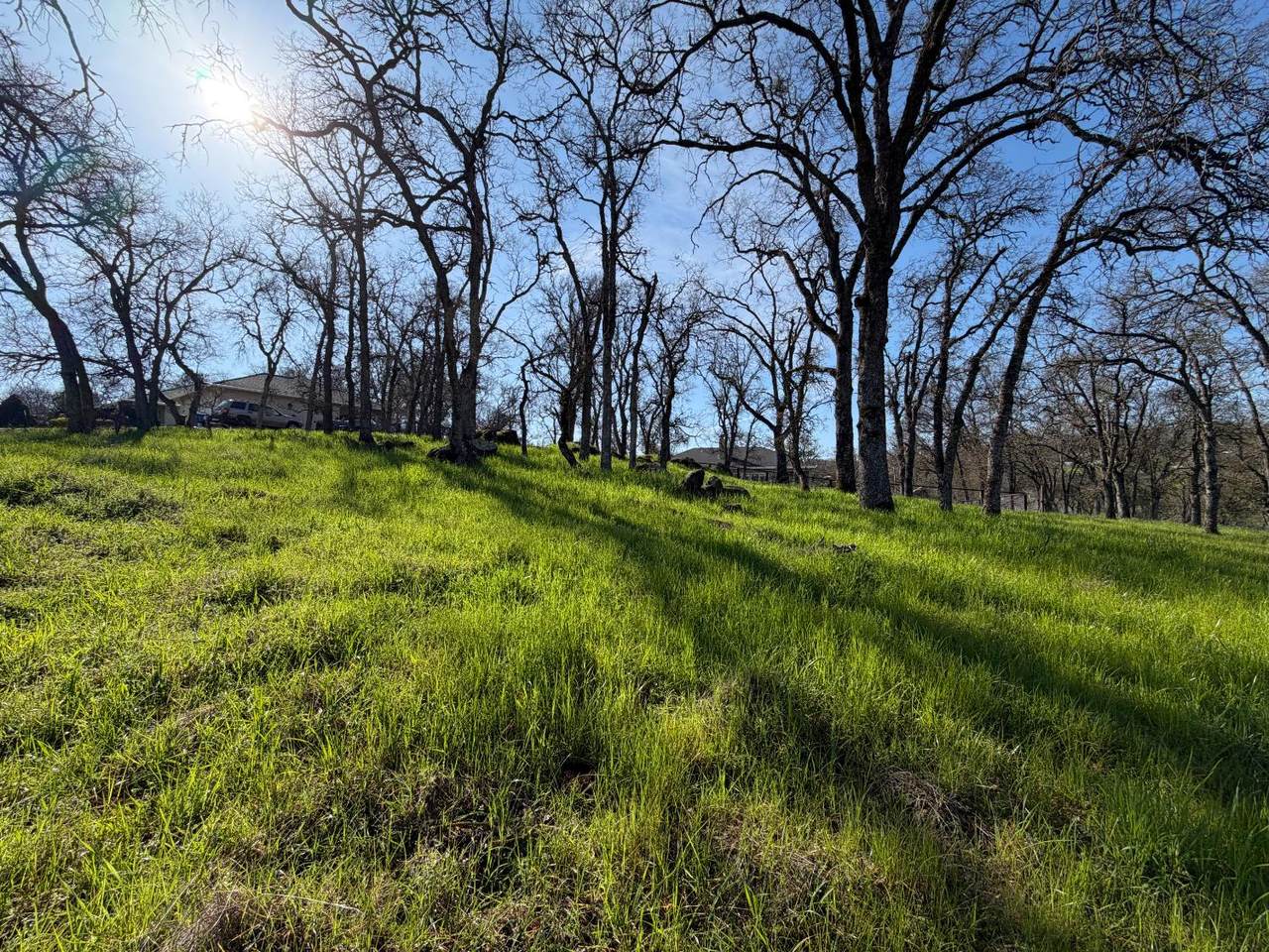 3192 Antonovich Road - Photo 1