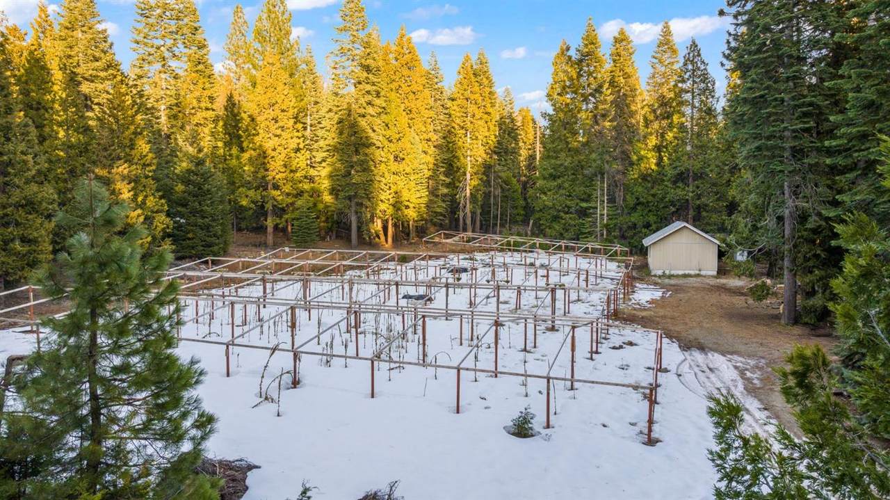 16277 Ophir Silver Road - Photo 1