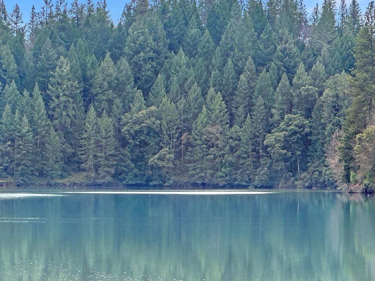 17871 Rollins View Drive - Photo 1