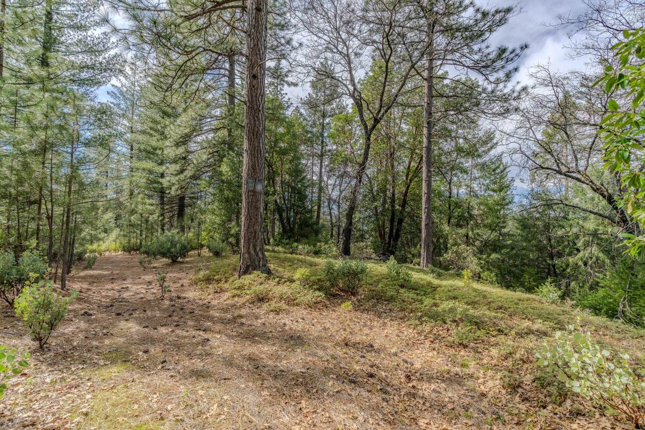 0 Volcano Trail - Photo 1