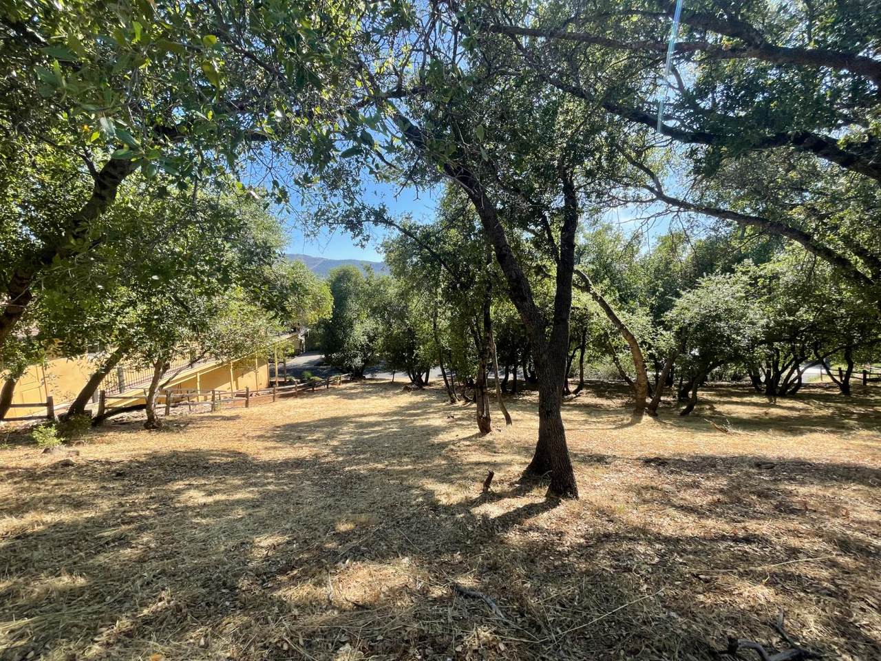 295 Mary Belle Way - Photo 1