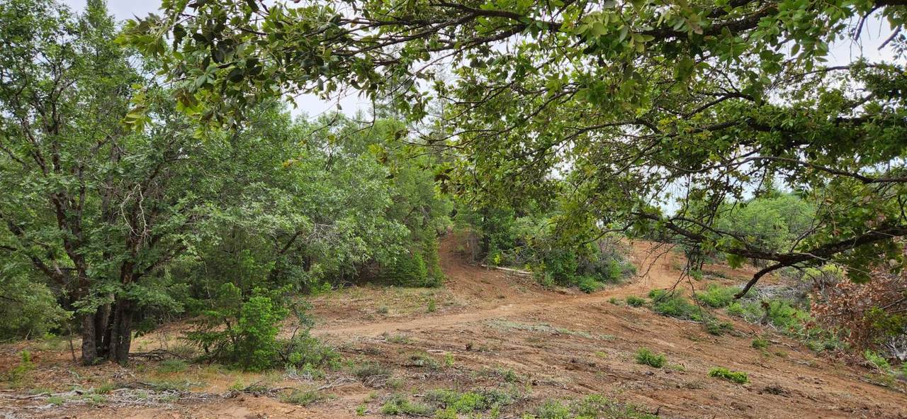 18148 Greenhorn Road - Photo 1