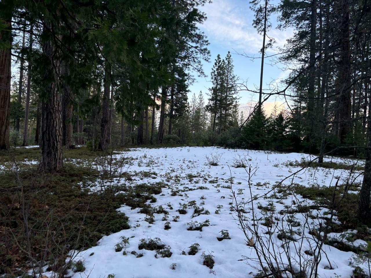 164 Vireo Court - Photo 1