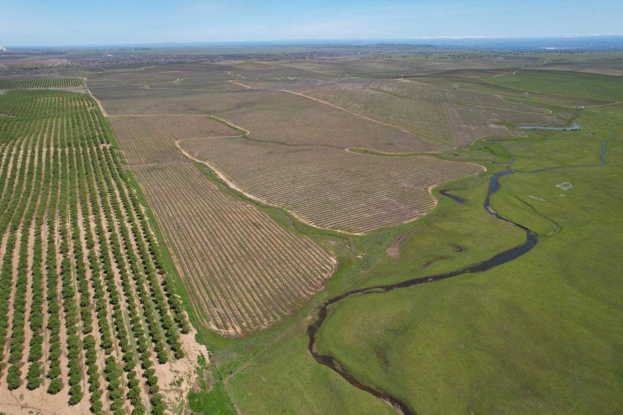 17559 Liberty Road - Photo 1