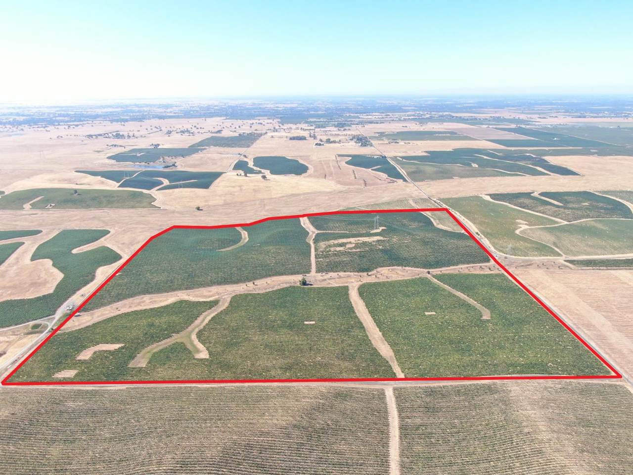 30222 Mackville Road - Photo 1