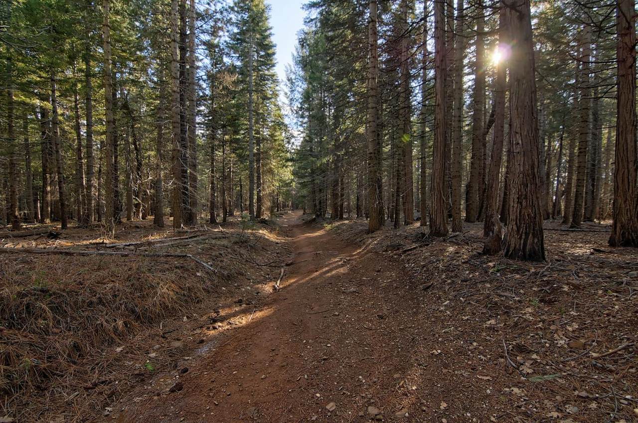 680 Sugar Pine Road - Photo 1