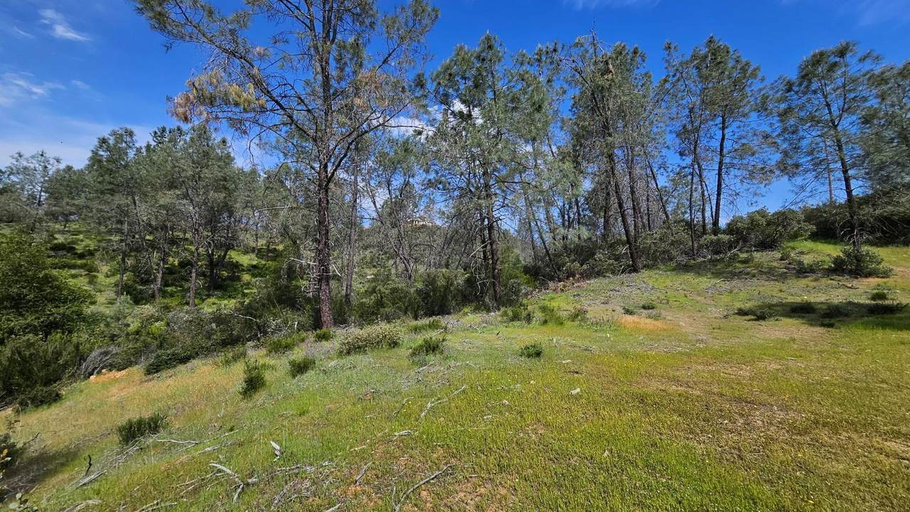 1641 Hidden Bridge Road - Photo 1