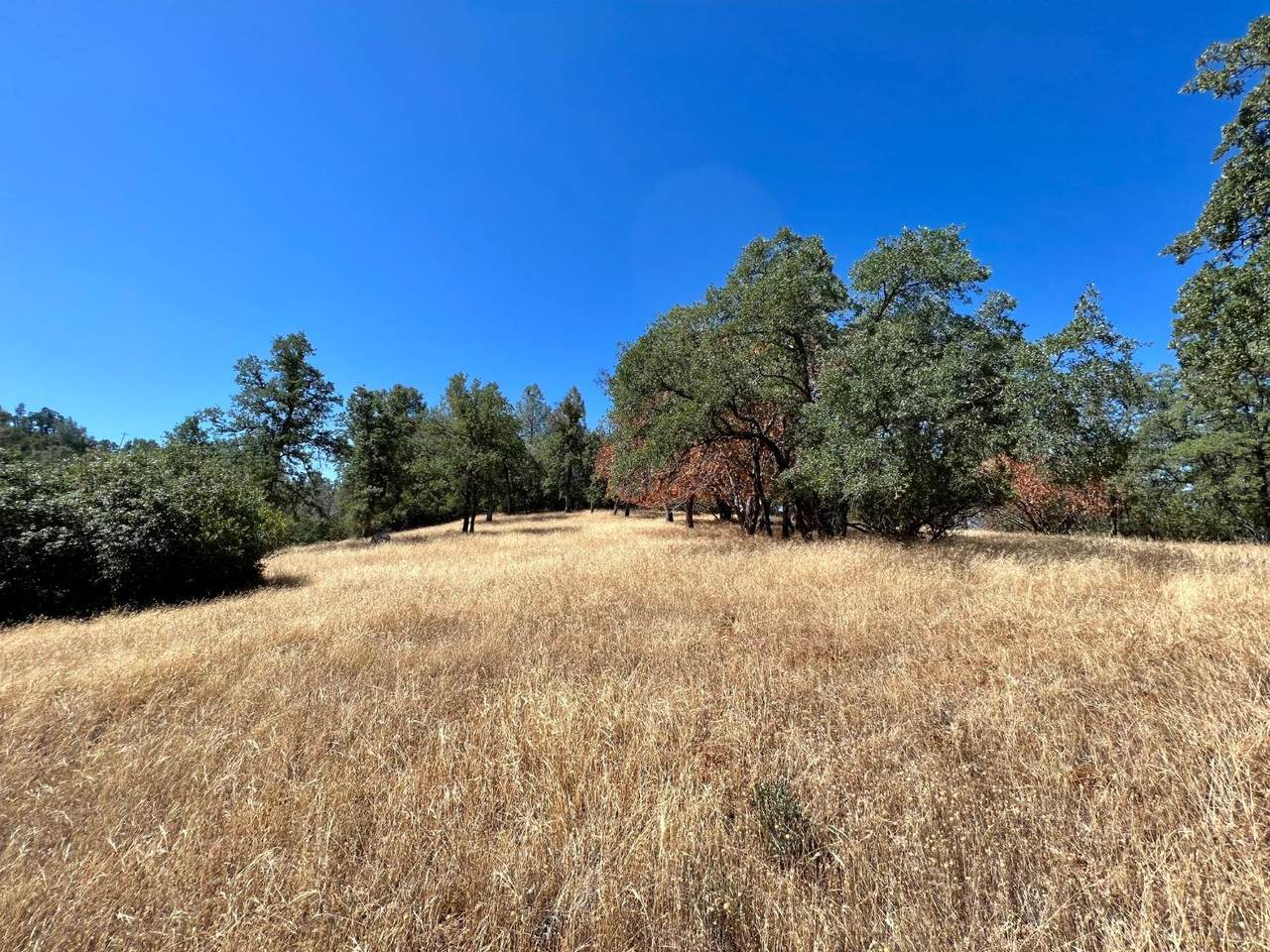 3090 Omo Ranch Road - Photo 1
