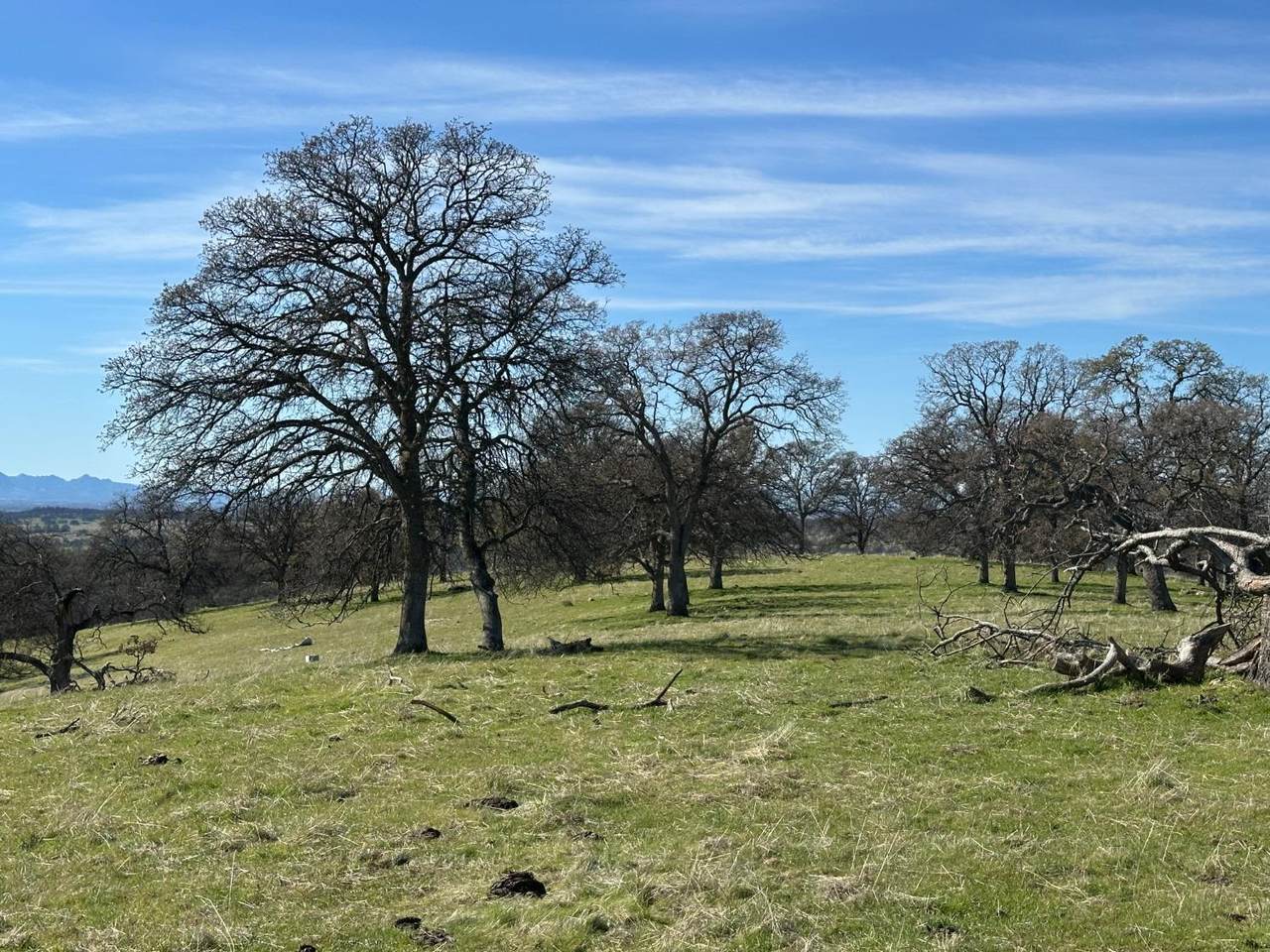 0 Avacado Avenue - Photo 1