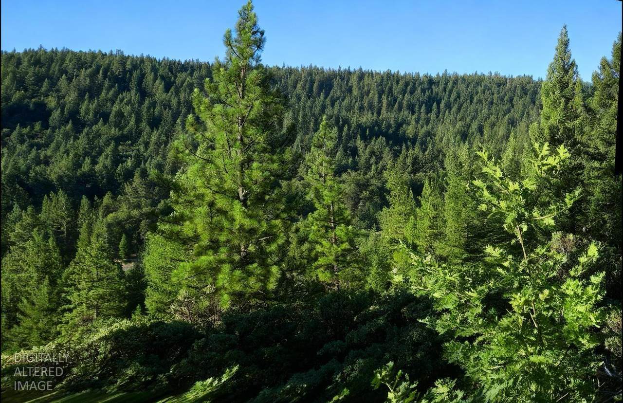 0 Lee Road - Photo 1