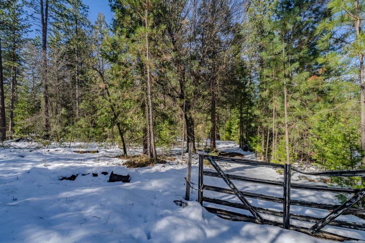 4801 Blue Mountain Road - Photo 1