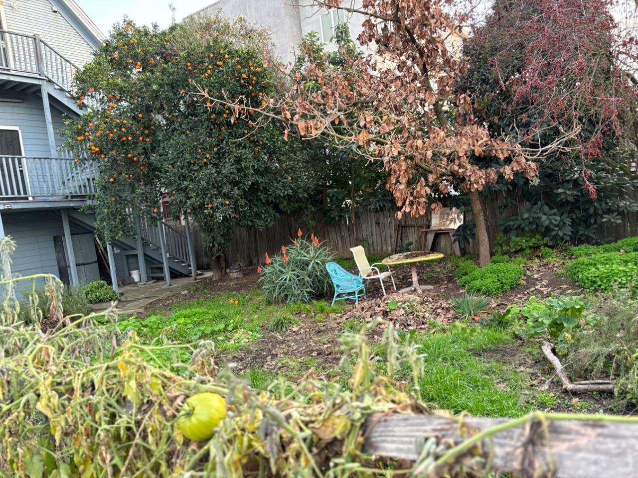 920 Tomato Alley - Photo 1