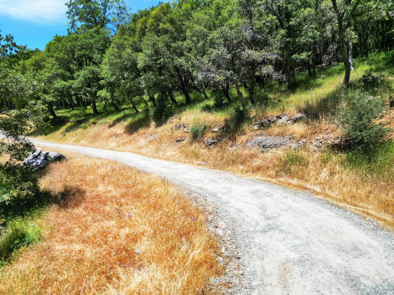 10441 Rim Rock Lane - Photo 1