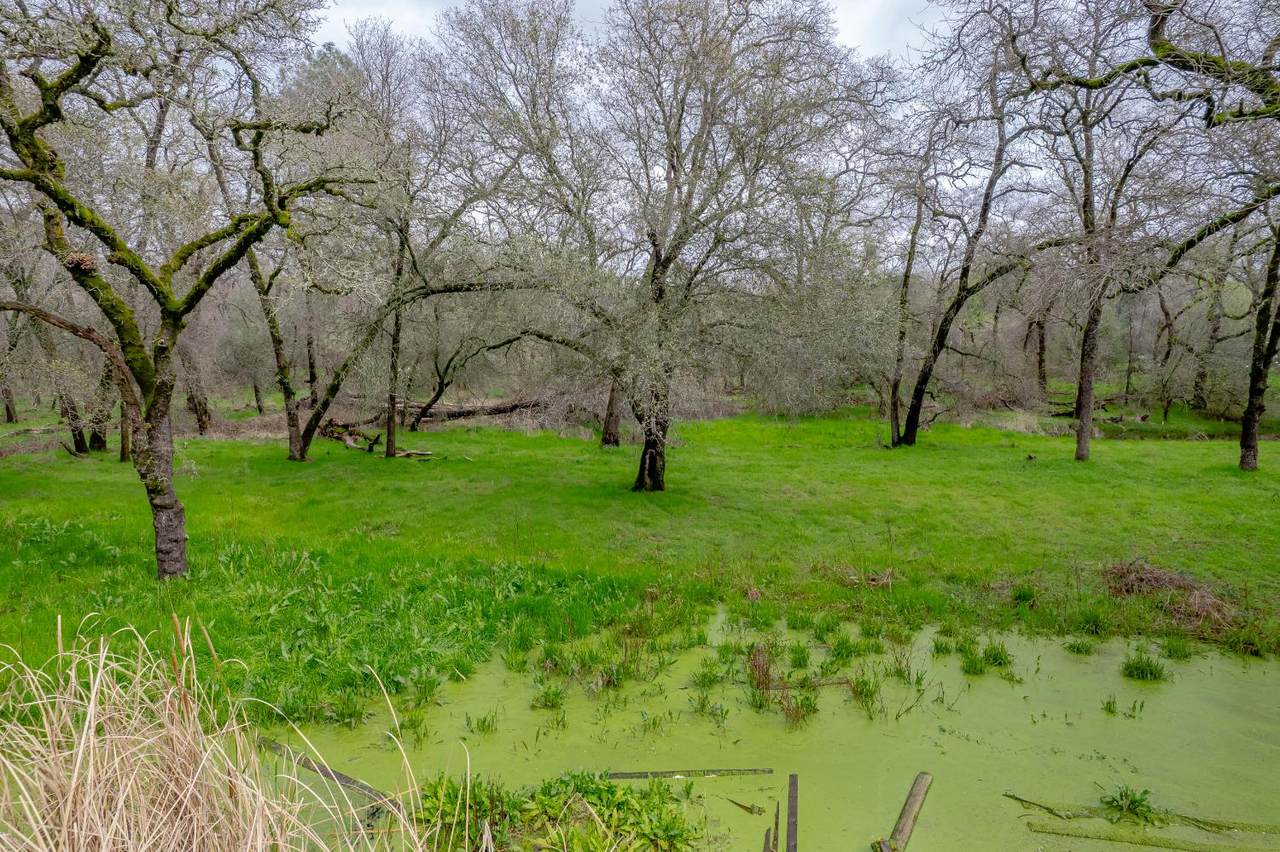 0 Hickey Trl Lot 19 - Photo 1