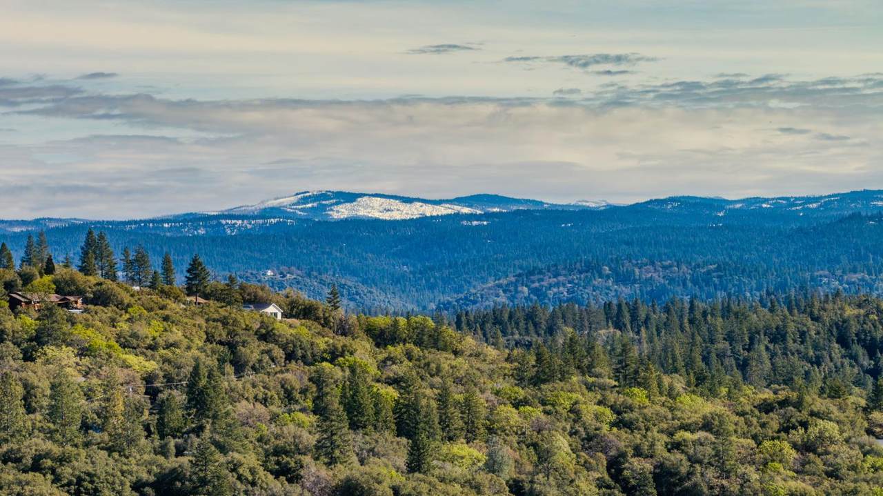 18140 Bourbon Street - Photo 1