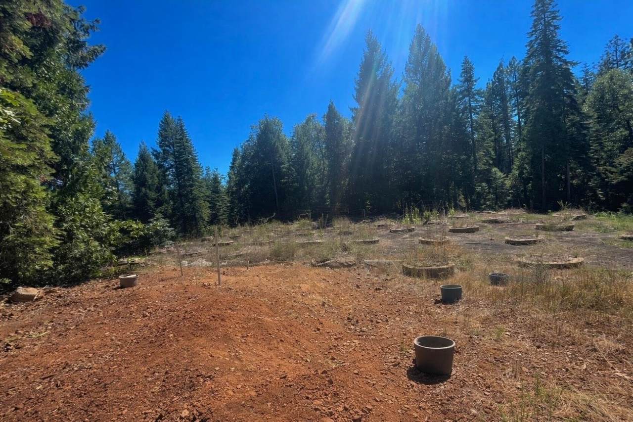 14666 Woolford Mill Road - Photo 1