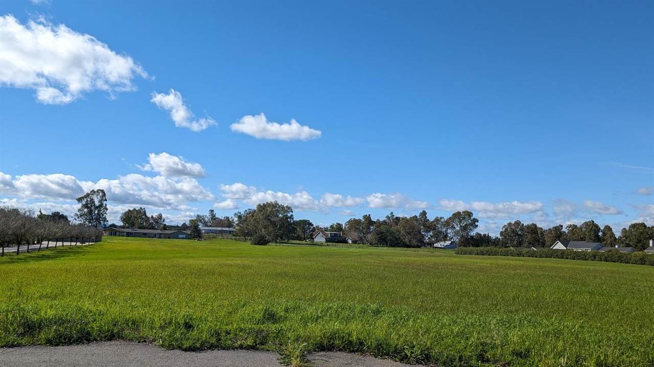 34777 Louise Lane - Photo 1