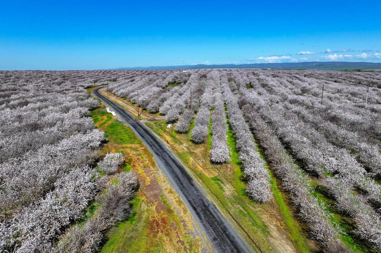 https://bt-photos.global.ssl.fastly.net/sacramento/1280_boomver_1_561047293-2.jpg