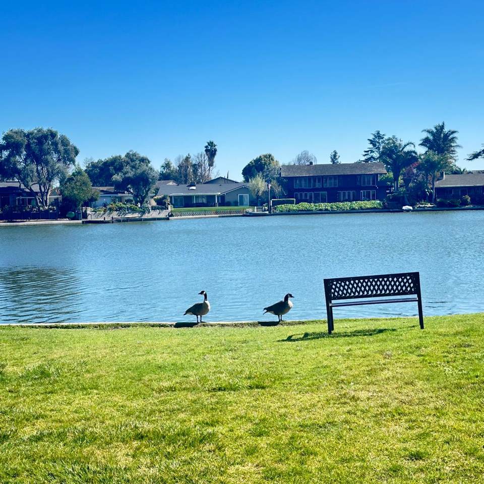 https://bt-photos.global.ssl.fastly.net/sacramento/1280_boomver_1_561047341-2.jpg