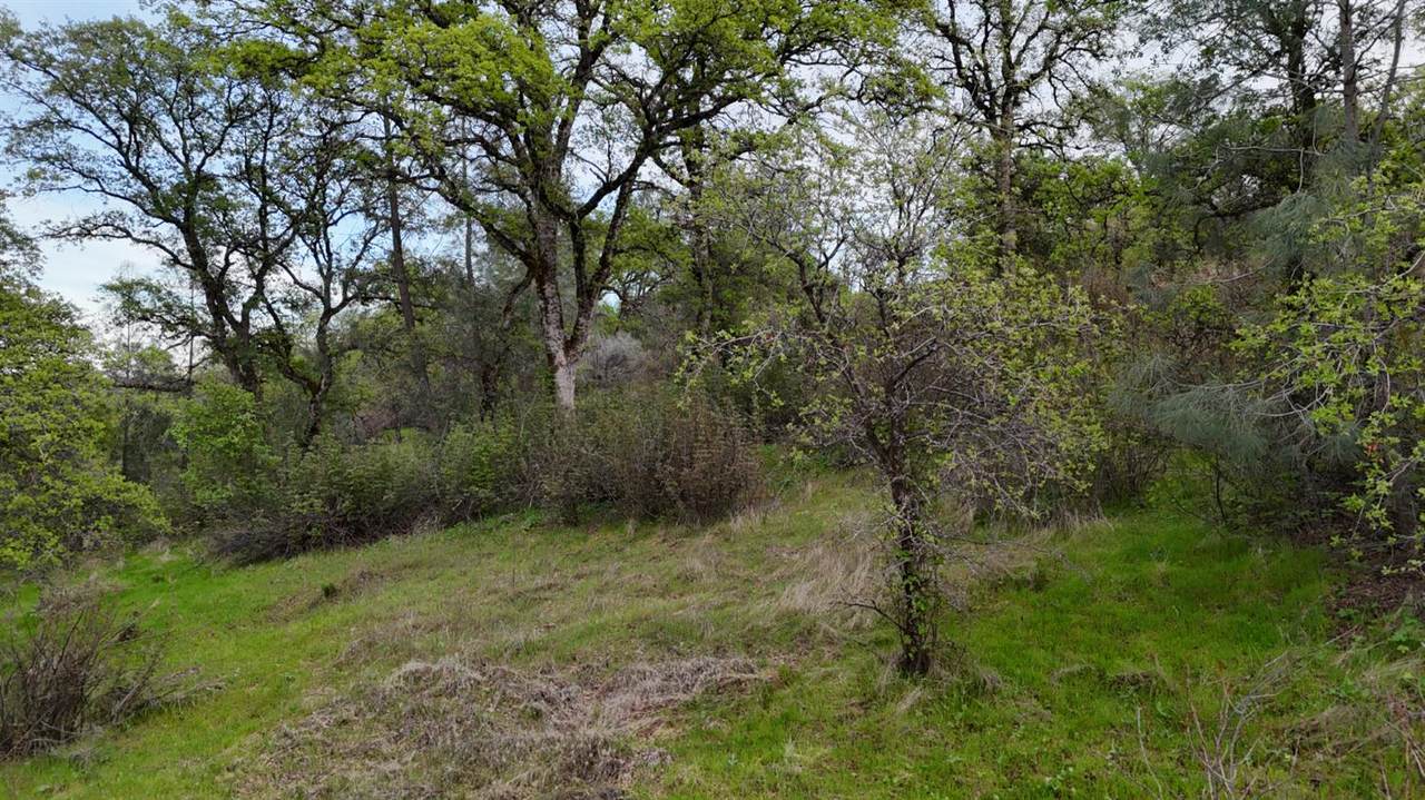https://bt-photos.global.ssl.fastly.net/sacramento/1280_boomver_1_561047807-2.jpg