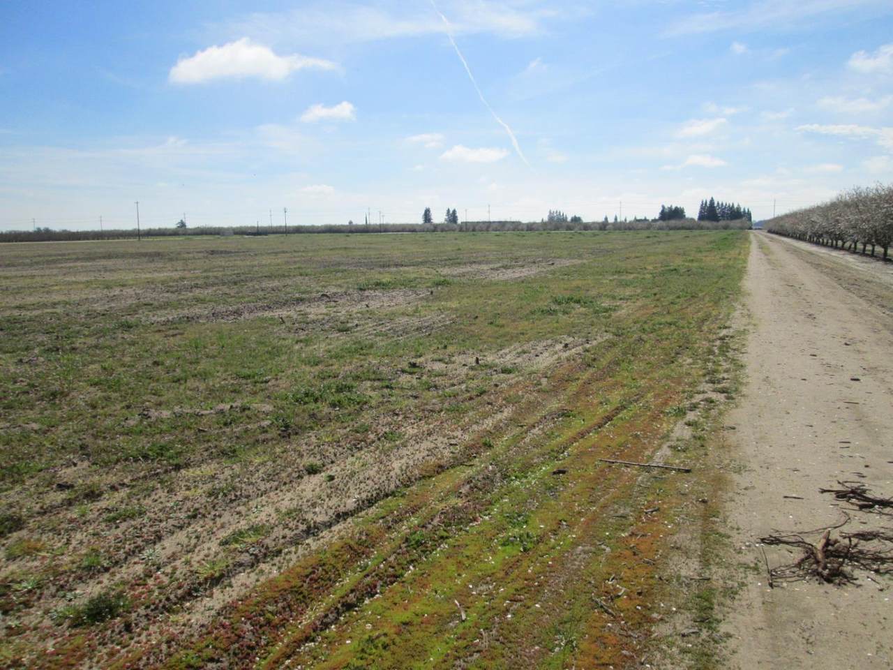 https://bt-photos.global.ssl.fastly.net/sacramento/1280_boomver_1_561048260-2.jpg