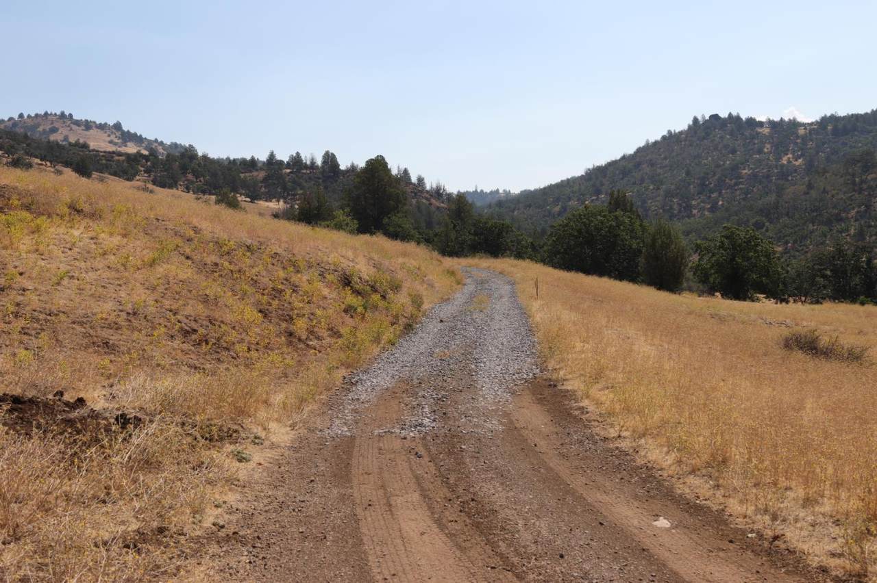 11220 Yellow Dog Trail - Photo 1