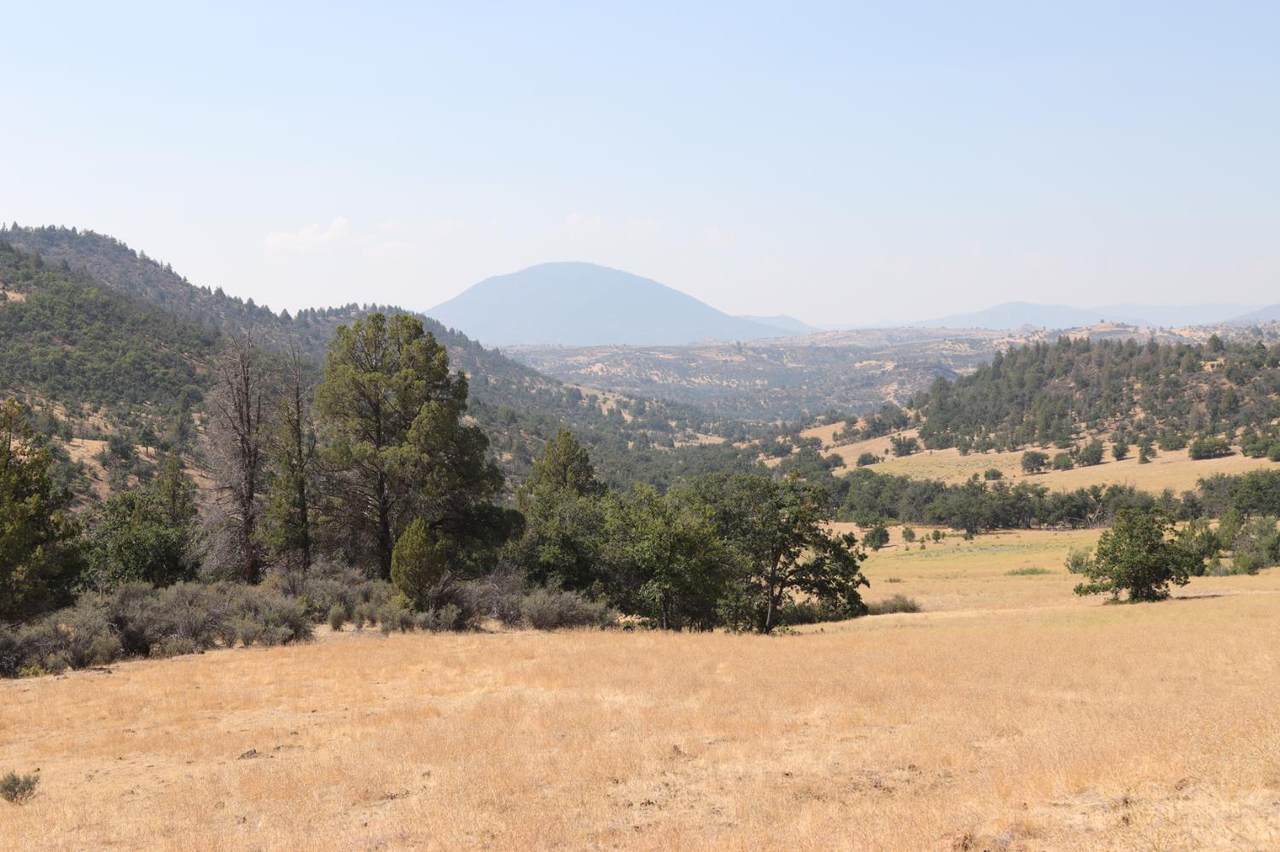https://bt-photos.global.ssl.fastly.net/sacramento/1280_boomver_1_561048656-2.jpg