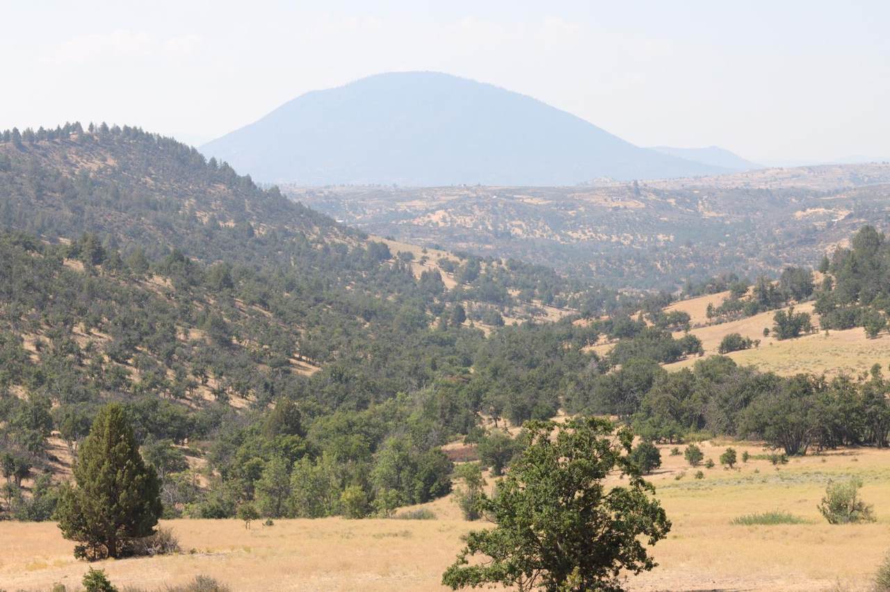https://bt-photos.global.ssl.fastly.net/sacramento/1280_boomver_1_561048656-2.jpg