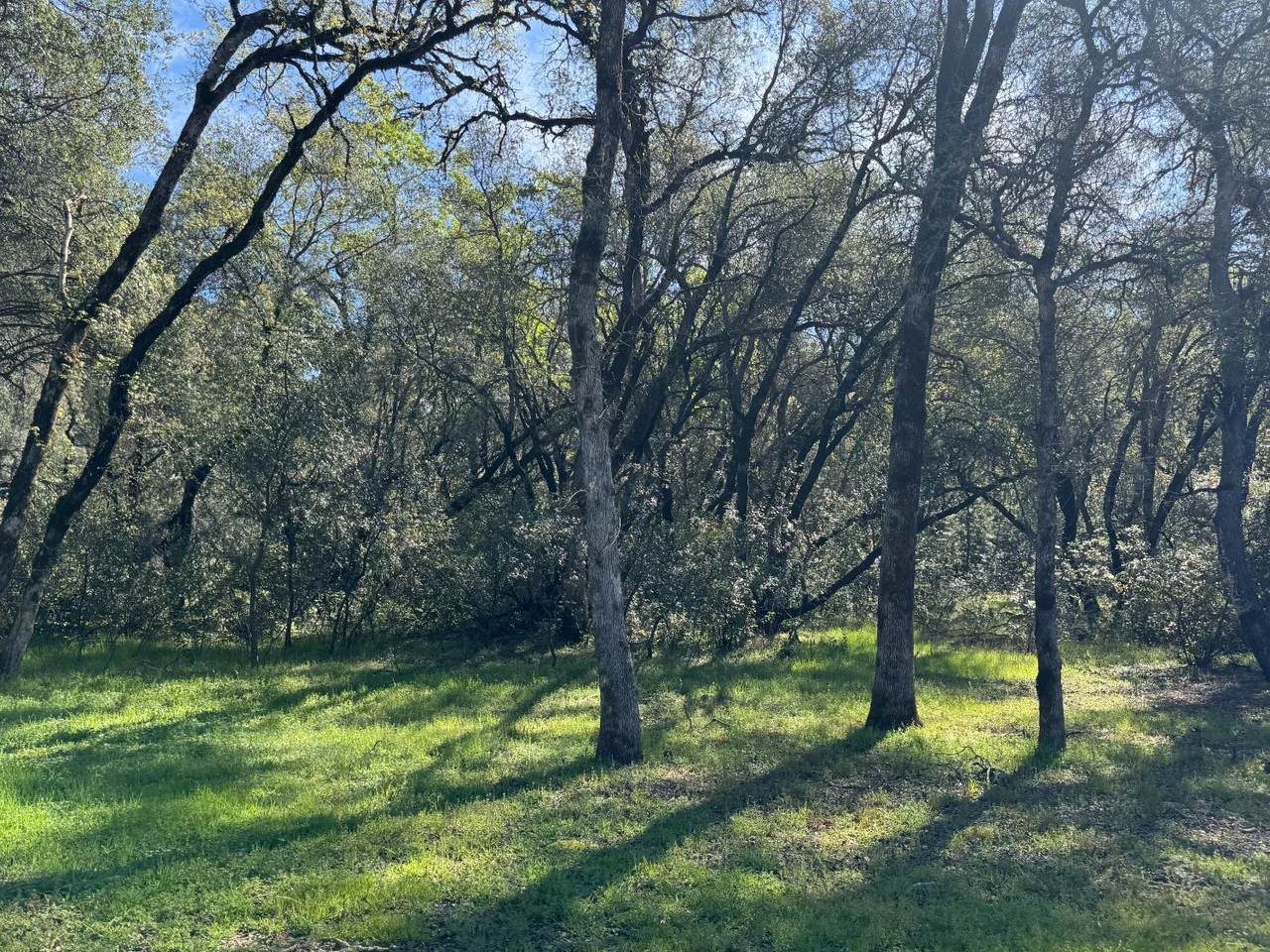 1001 Old Airport Road - Photo 1