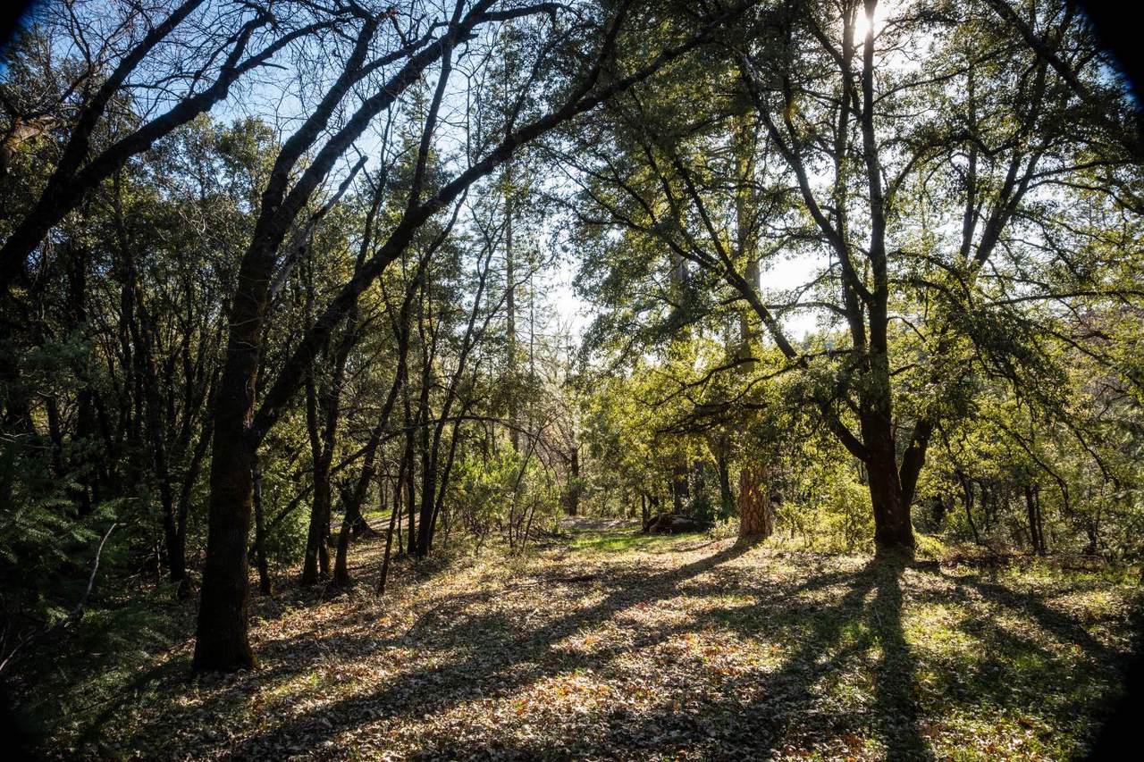 0 Buck Ridge Court - Photo 1